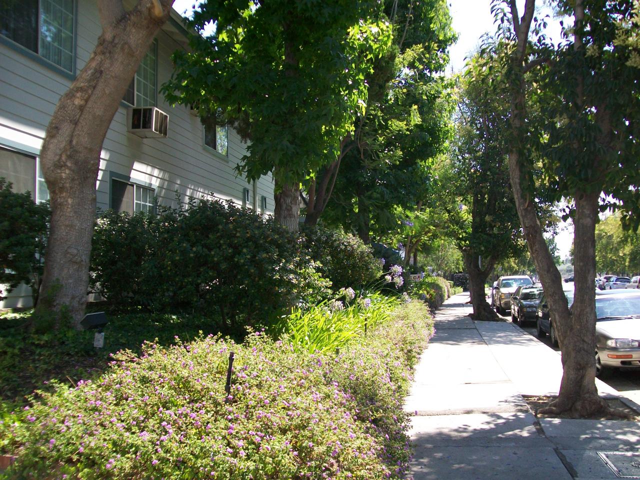 Photo of Kingsbury Villas Apartments - a view of the front sidewalk